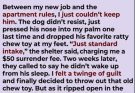 I surrendered my brother’s old dog because I thought he was only a burden. Two weeks later, he died—and the toy I threw away revealed a secret my brother had hidden before his death. I never expected a dog to lead me to the truth about how my brother really died.